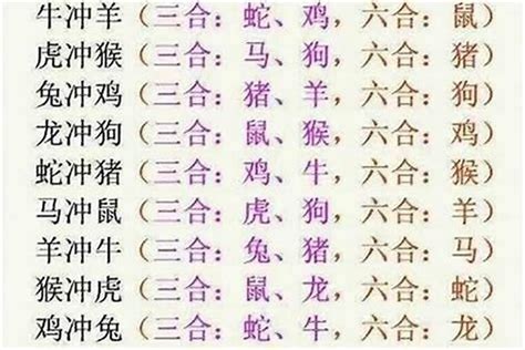 什么是六合|六合（中国传统玄学术语）